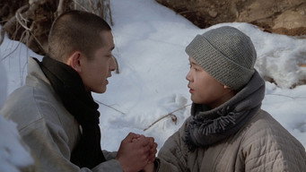 За межею гори (1991)