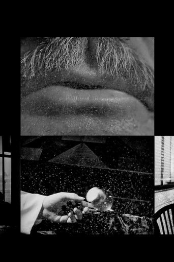 Cartell de Cinema Study