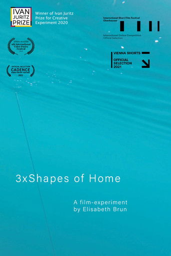 3xShapes of Home poster