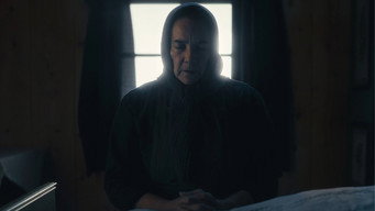 Babushka media image