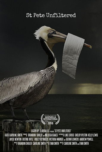 St. Pete Unfiltered poster