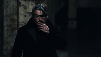 #11 Полярний