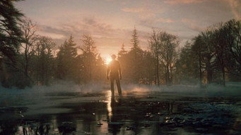 #41 Роббі Вільямс: Better man