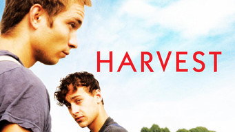 Harvest media image