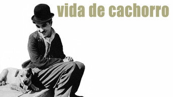 Escena 6 de Vida de perro