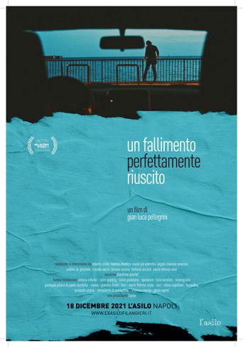 Un fallimento perfettamente riuscito poster