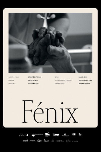 F&eacute;nix