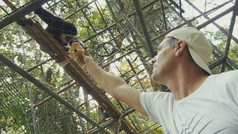 Wild Frank: Discovery Max (2014-2021)