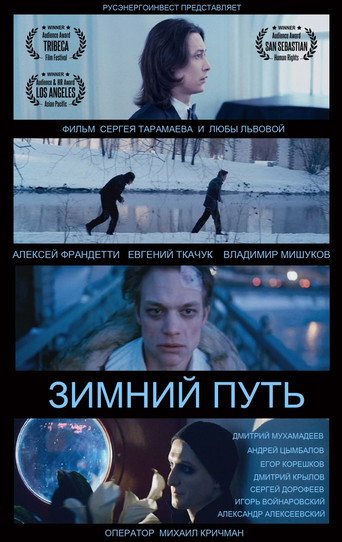 Poster for Зимний путь