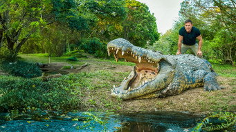 Killer Crocs with Steve Backshall (2024- )
