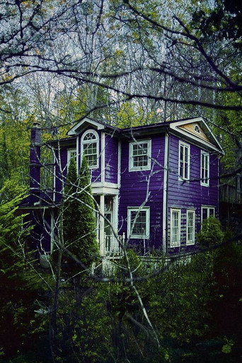 Mysterious Purple House