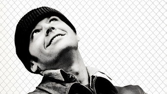 One Flew Over the Cuckoo's Nest backdrop 3