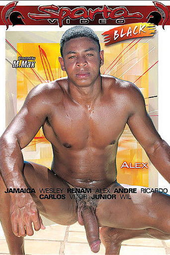 movie poster for Black