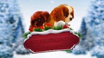 #1 Project: Puppies for Christmas