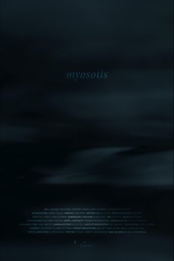 Myosotis