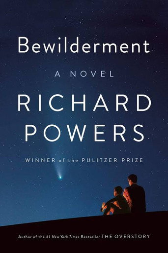 Bewilderment galeri 1