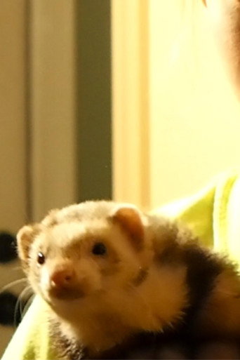 Peanut