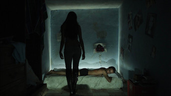 Death for Sale (2011)