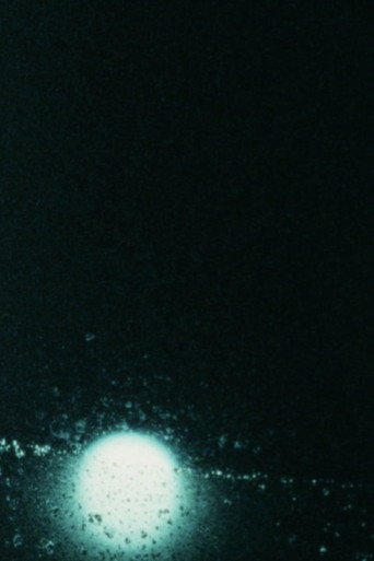 Obscured in Soft Light (2025)