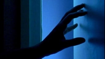 White Light (2007)