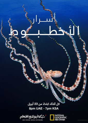 أسرار الأخطبوط