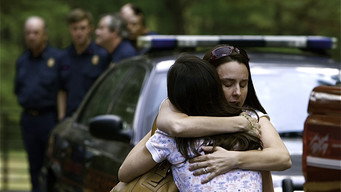 The Way Home (2010)