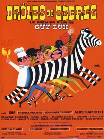 Poster of Drôles de zèbres