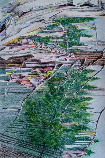 Transindigenous Assembly