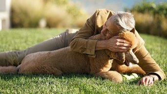 Episódio Cachorros da série O Mundo Segundo Jeff Goldblum