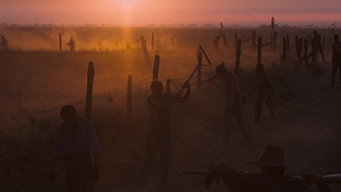 #61 Холоднокровний Люк
