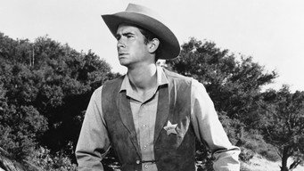 #7 The Tin Star