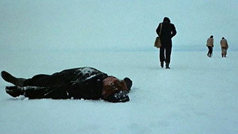 #5 The White Dawn