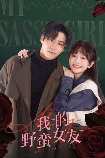 我的野蛮女友 poster