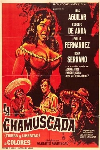 Poster of La Chamuscada