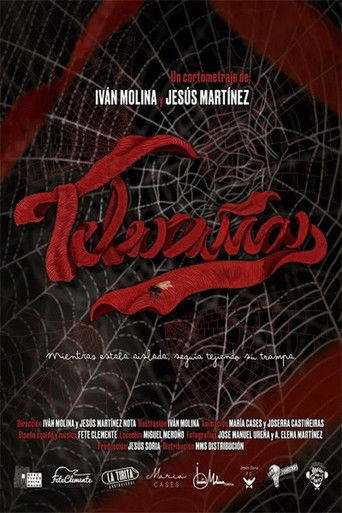 Telarañas poster