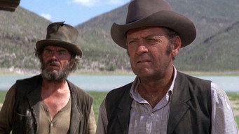 The Revengers (1972)