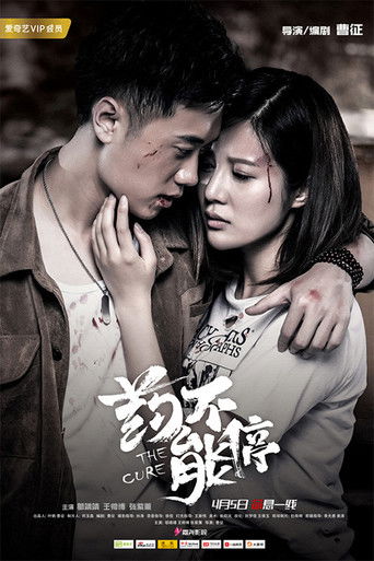 药不能停 poster