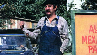 Stories from the Workshop (1981-1982)