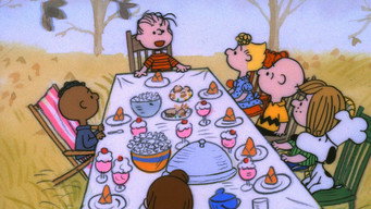 A Charlie Brown Thanksgiving backdrop 4