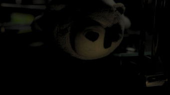 Echoes Behind the Veil