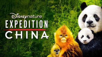 #4 Expedition China