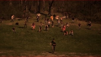 The Stray (2016)