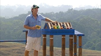 Survivor S17E11 poster