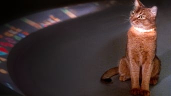 #4 The Cat from Outer Space