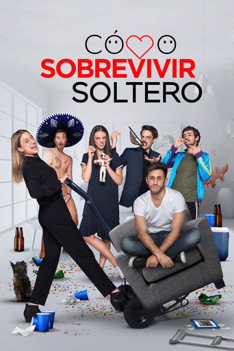 Cómo sobrevivir soltero — Pósters 13