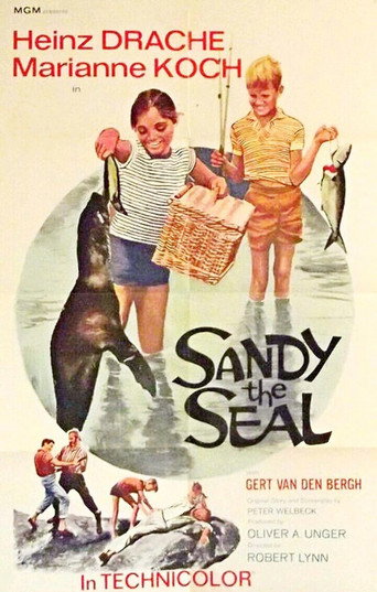 Poster film Sandy the Seal