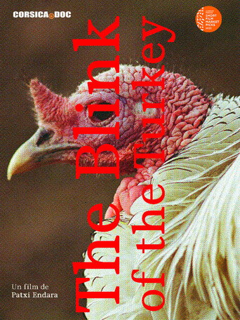 The blink of the turkey