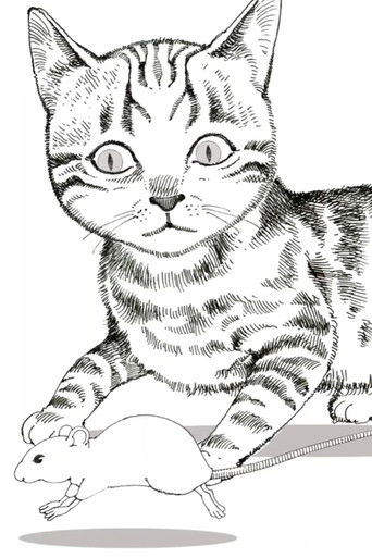 Animal World: Cat and Mouse Struggle (2020)