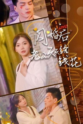 闪婚后老公天天给钱花 poster