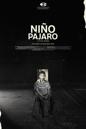 Niño pájaro